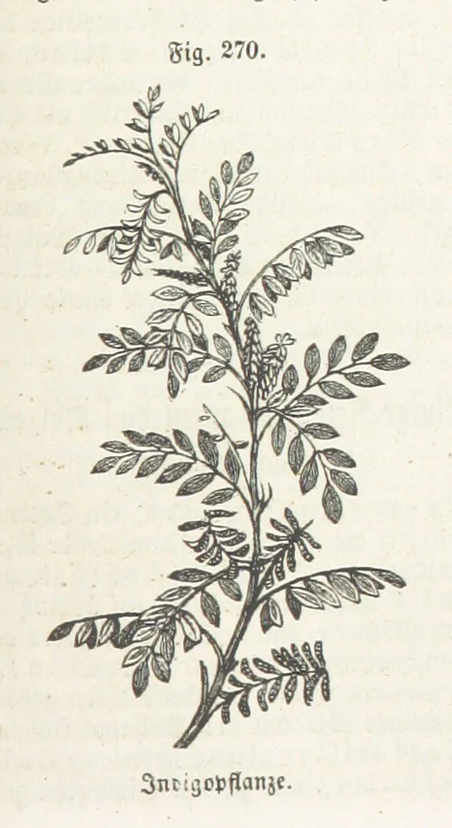 An illustration from Handbuch der Erdkunde, 1859, leaf 851