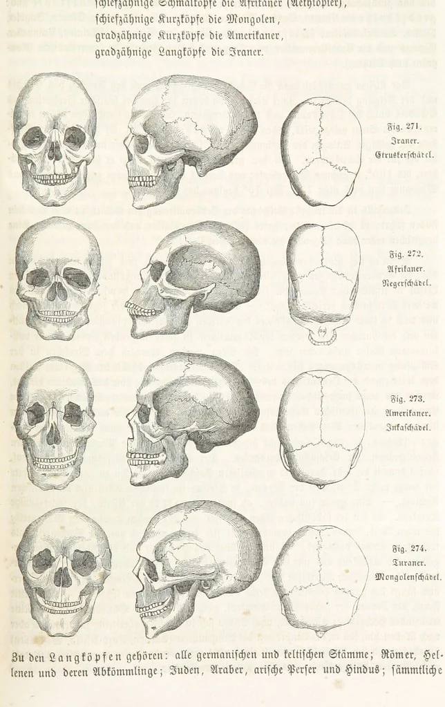 An illustration from Handbuch der Erdkunde, 1859, leaf 959