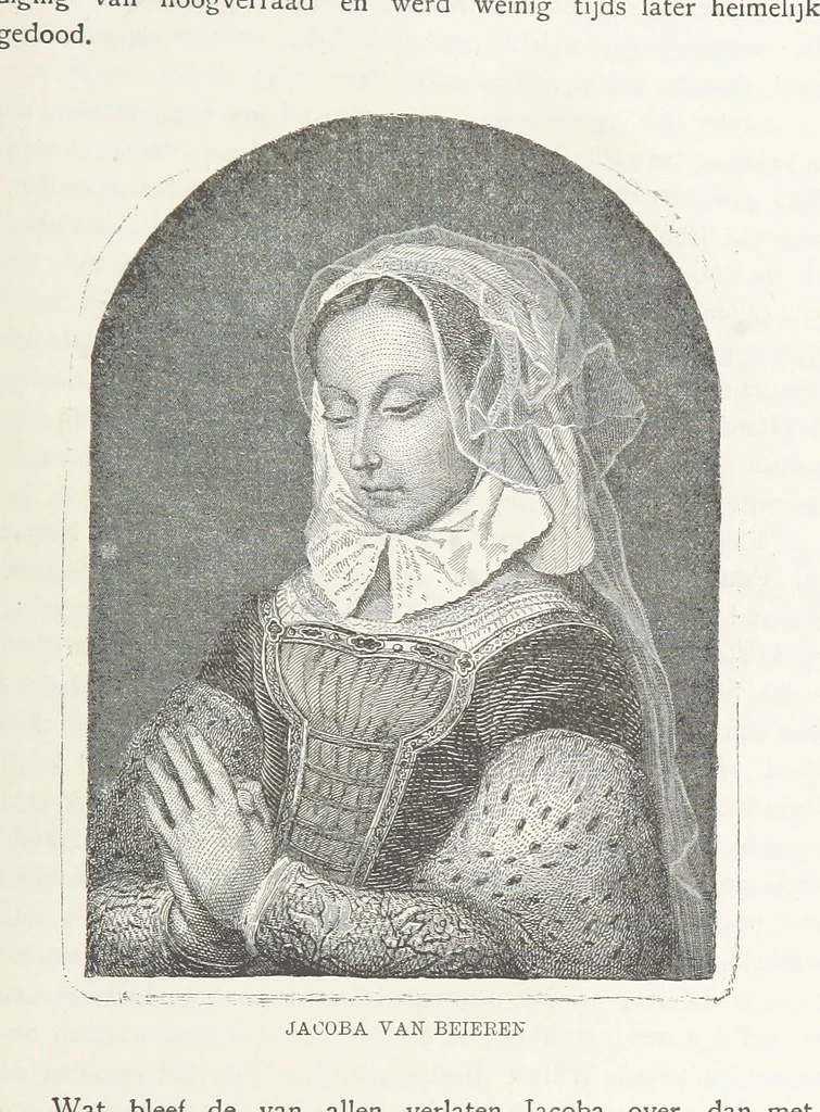 An illustration from Nederland en Oranje in beeld en schrift, etc, 1895, leaf 689