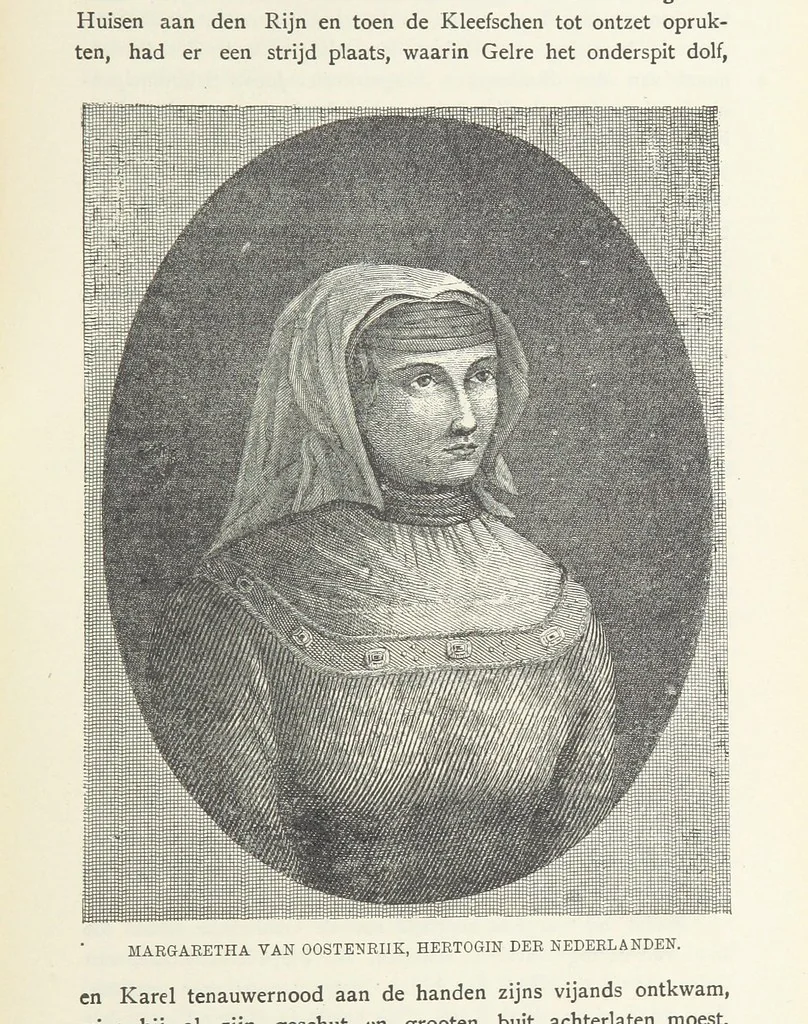 An illustration from Nederland en Oranje in beeld en schrift, etc, 1895, leaf 835