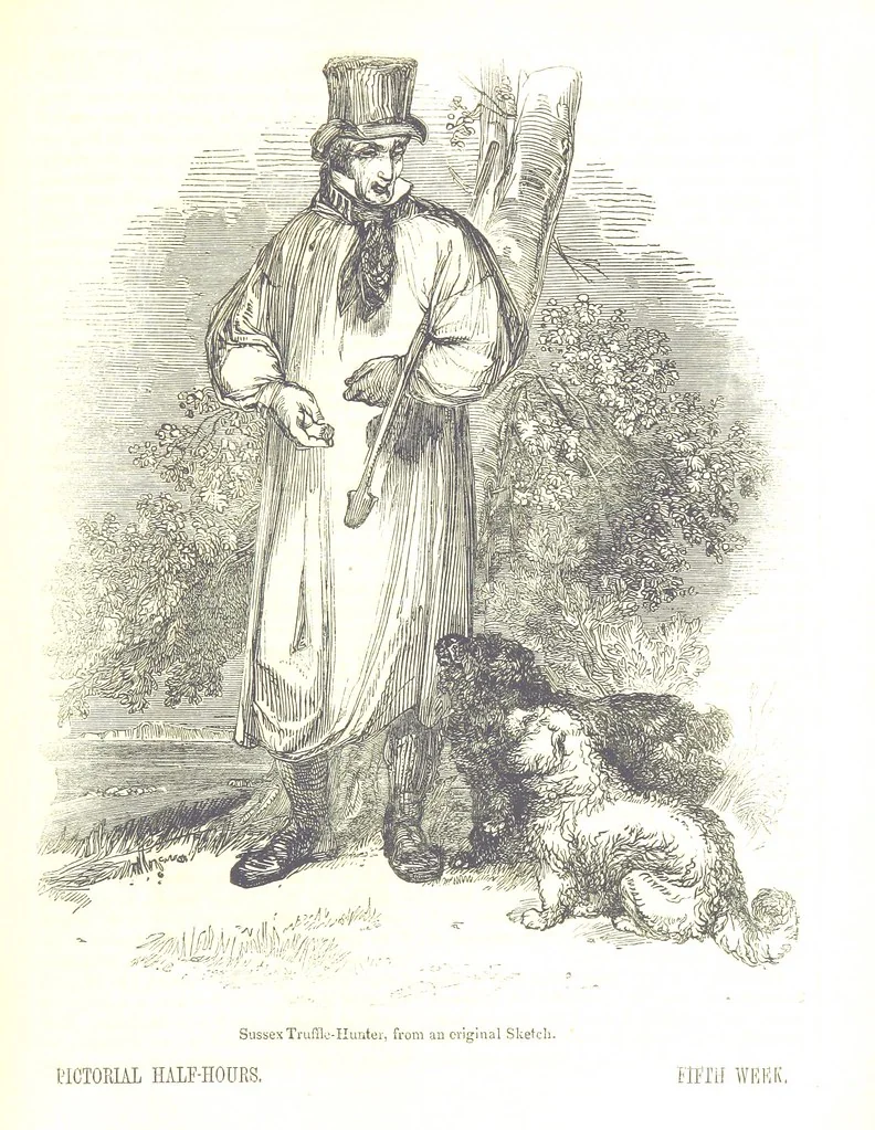 An illustration from Pictorial Half-hours, edited by C. K, 1850, leaf 111