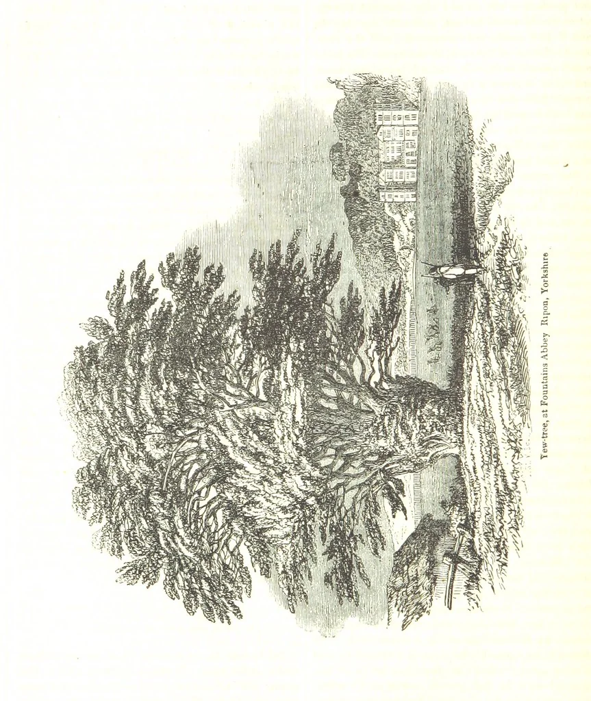 An illustration from Pictorial Half-hours, edited by C. K, 1850, leaf 122