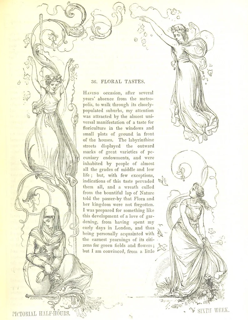 An illustration from Pictorial Half-hours, edited by C. K, 1850, leaf 135