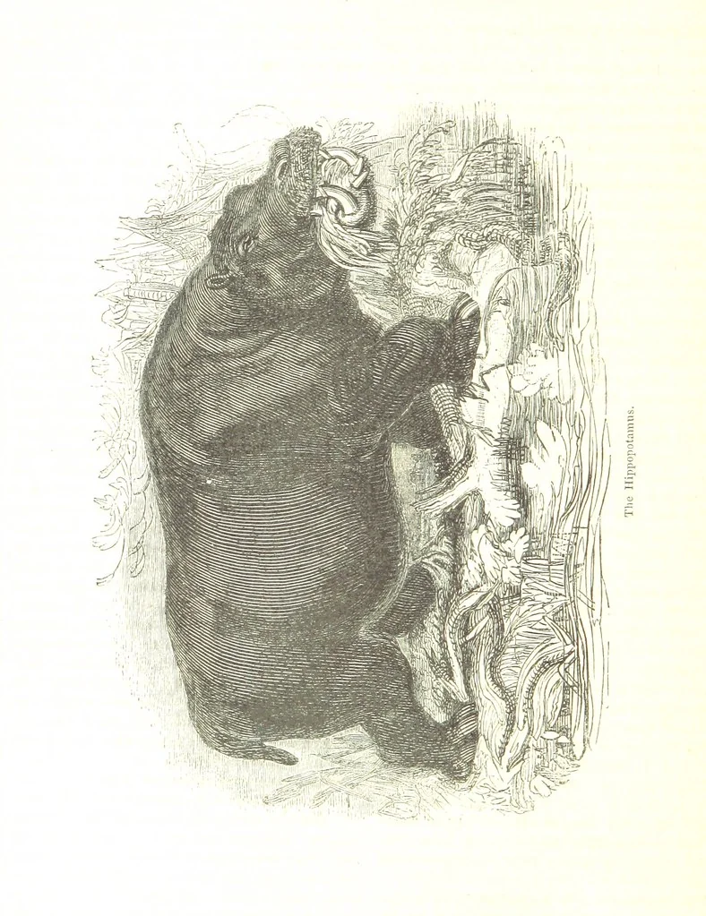 An illustration from Pictorial Half-hours, edited by C. K, 1850, leaf 190