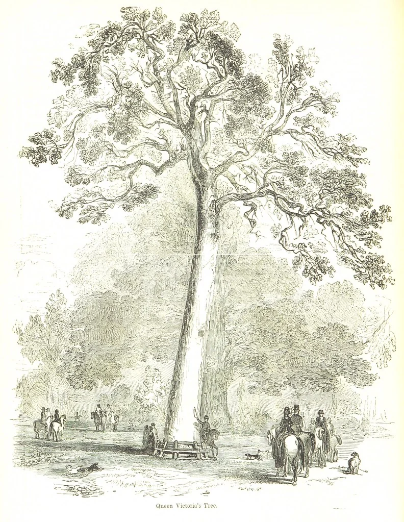 An illustration from Pictorial Half-hours, edited by C. K, 1850, leaf 22