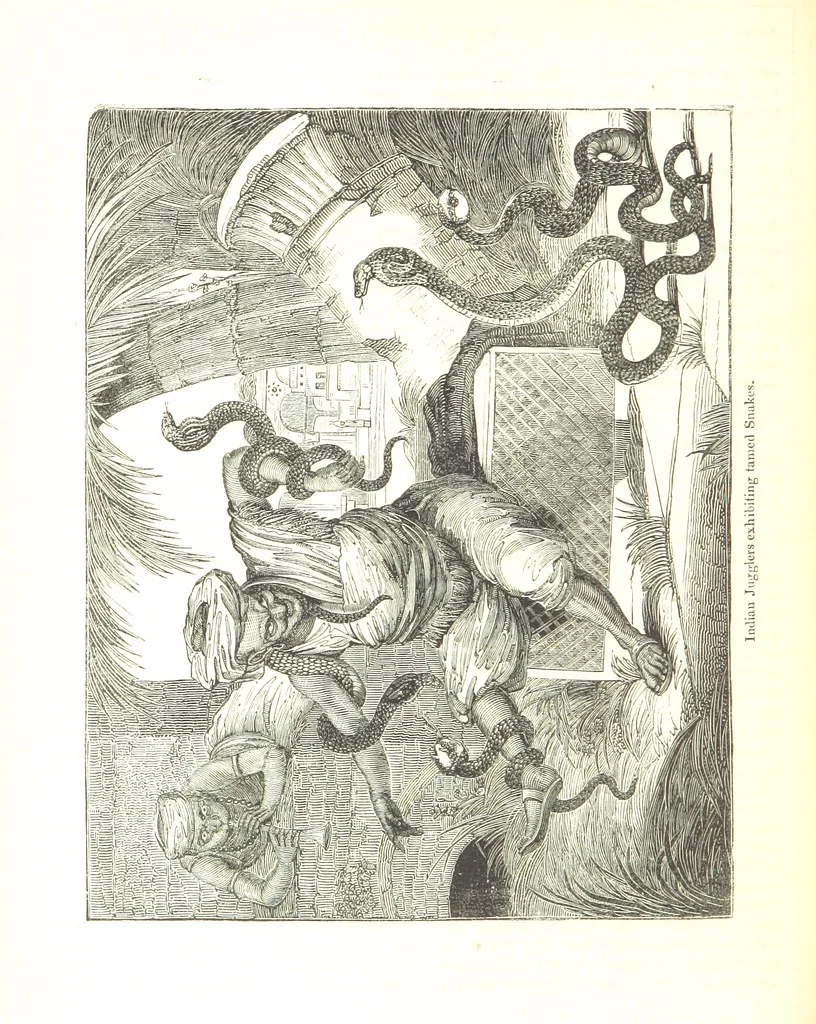 An illustration from Pictorial Half-hours, edited by C. K, 1850, leaf 226