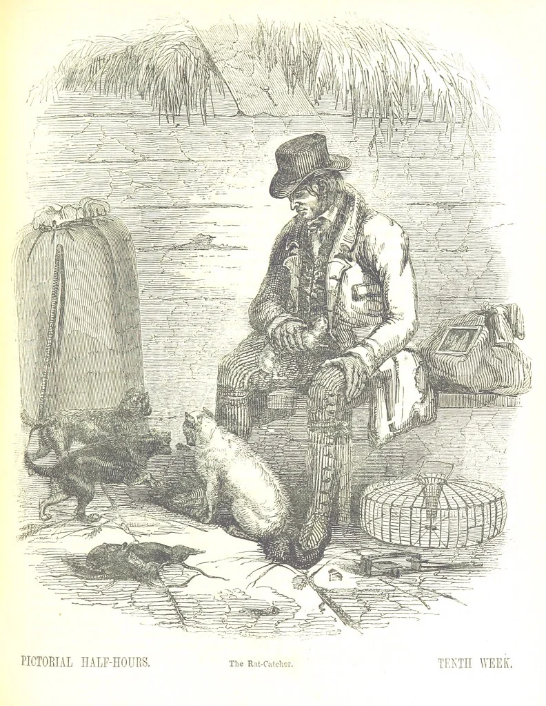 An illustration from Pictorial Half-hours, edited by C. K, 1850, leaf 231