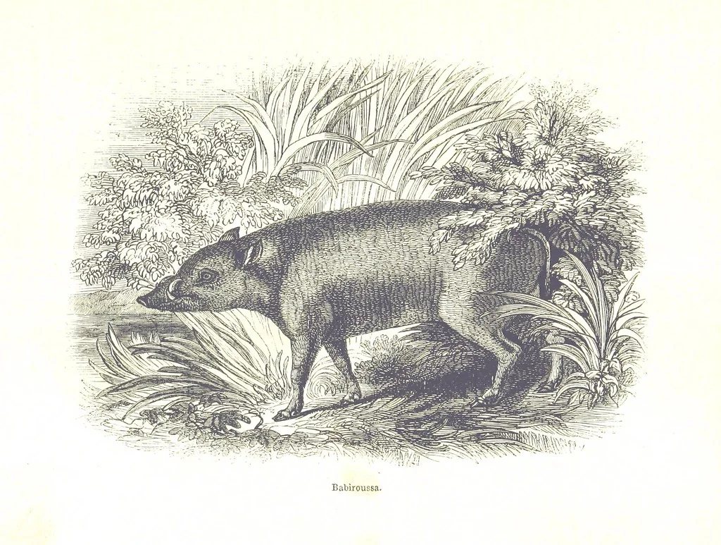 An illustration from Pictorial Half-hours, edited by C. K, 1850, leaf 283