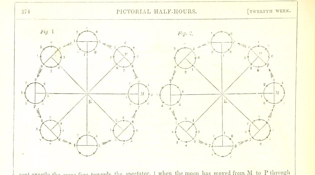 An illustration from Pictorial Half-hours, edited by C. K, 1850, leaf 288