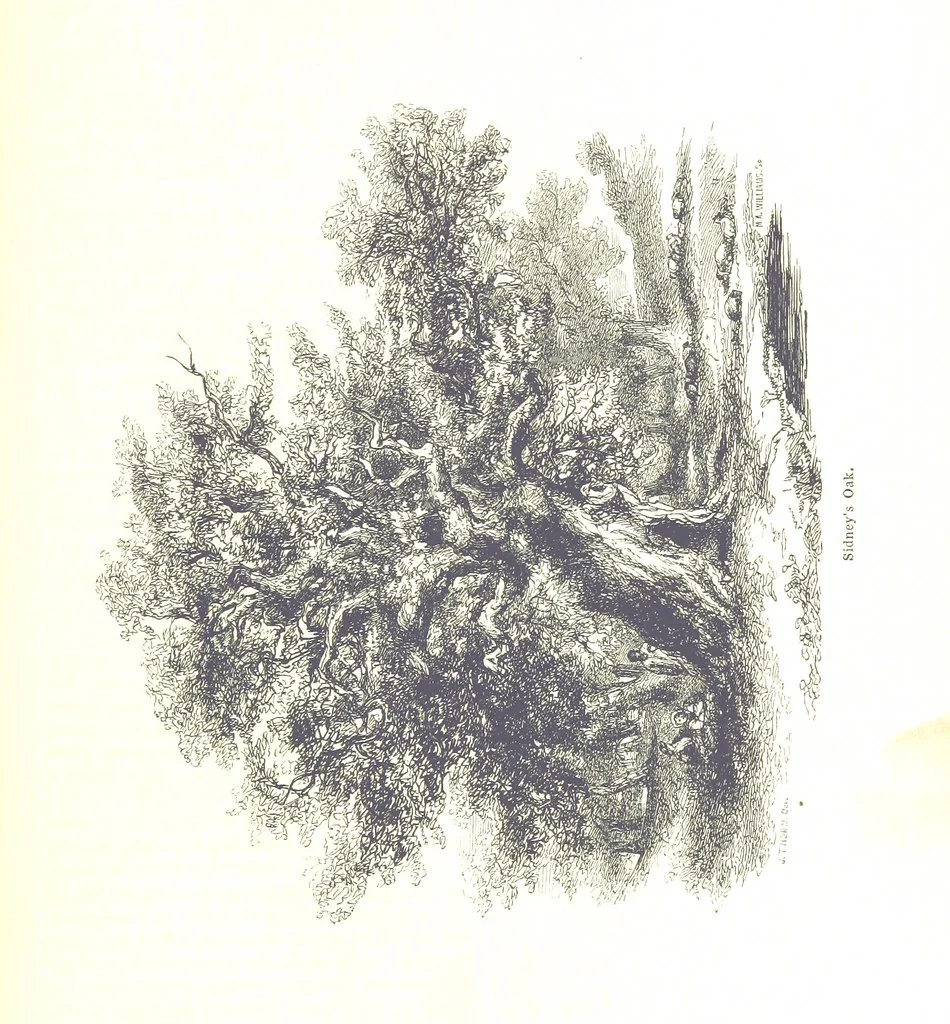 An illustration from Pictorial Half-hours, edited by C. K, 1850, leaf 291