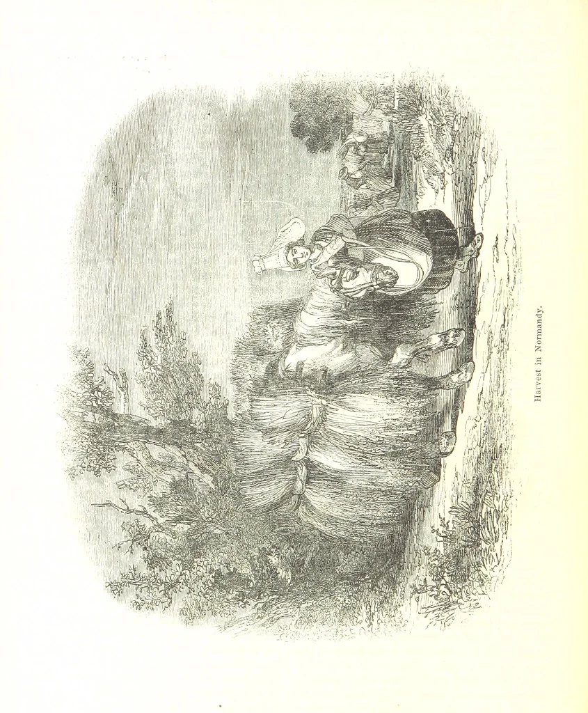 An illustration from Pictorial Half-hours, edited by C. K, 1850, leaf 336