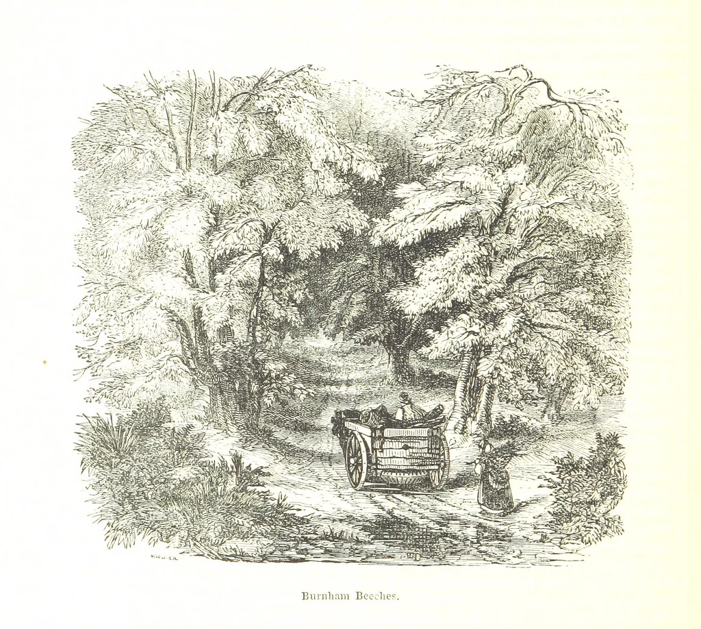 An illustration from Pictorial Half-hours, edited by C. K, 1850, leaf 348