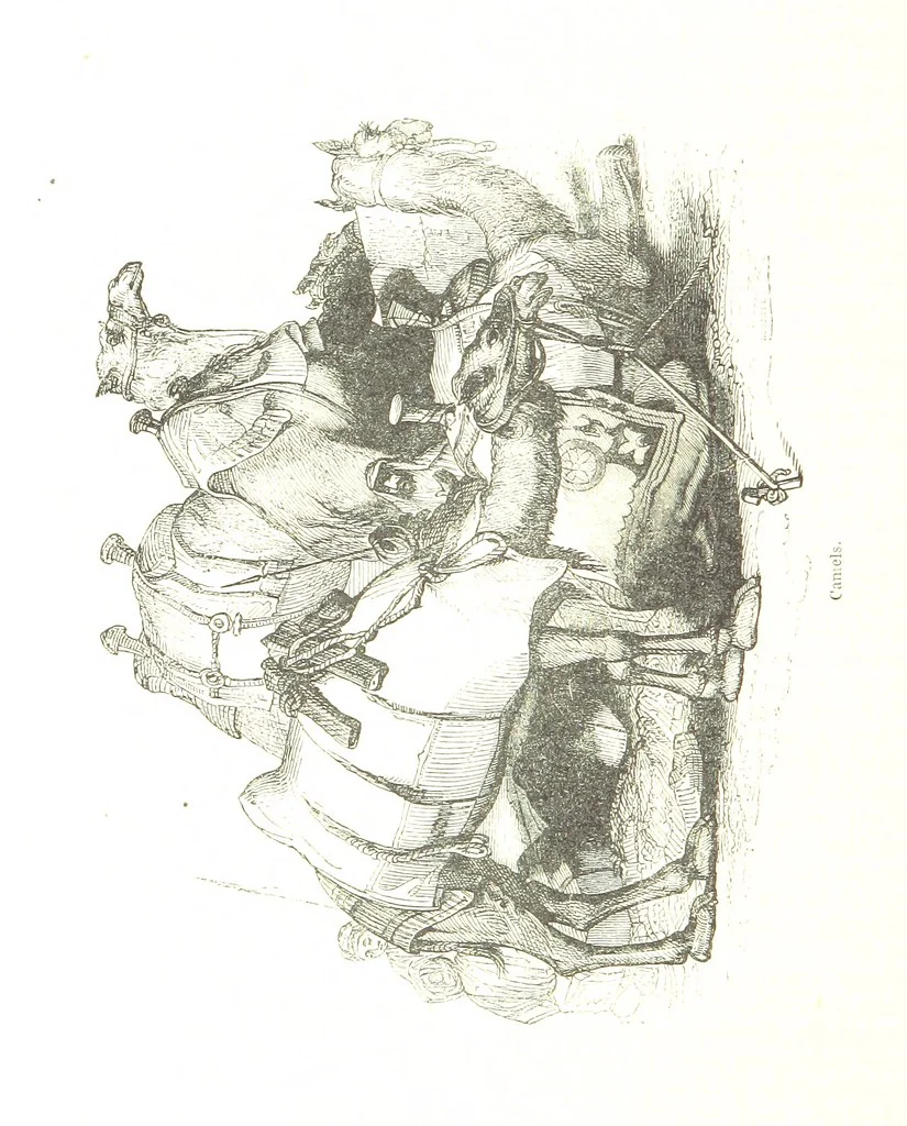 An illustration from Pictorial Half-hours, edited by C. K, 1850, leaf 368