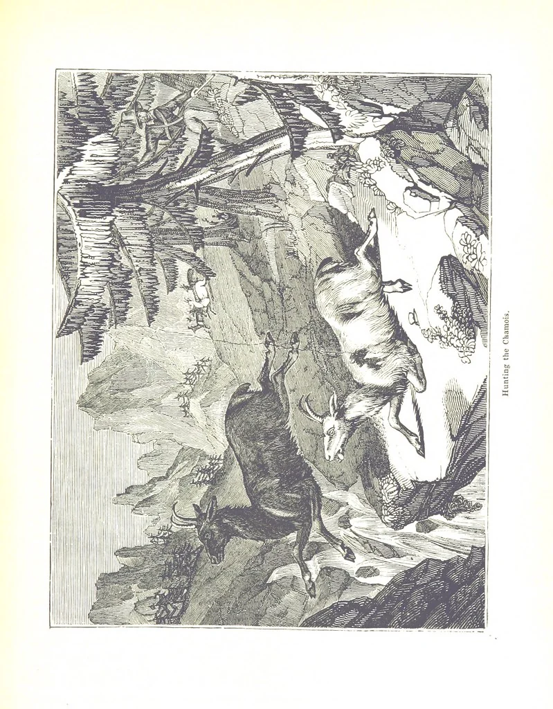 An illustration from Pictorial Half-hours, edited by C. K, 1850, leaf 413