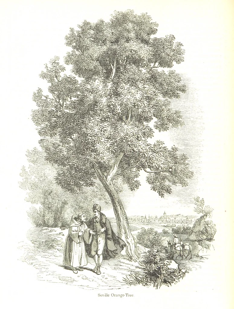 An illustration from Pictorial Half-hours, edited by C. K, 1850, leaf 50