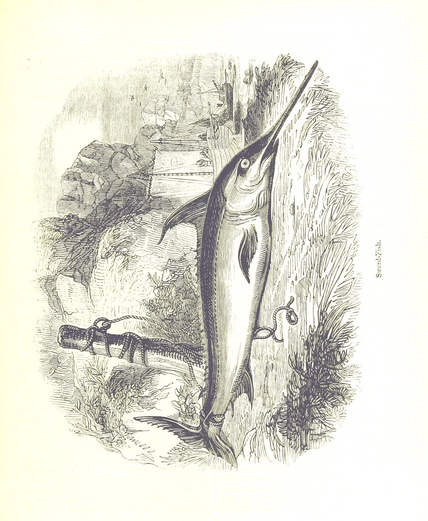 An illustration from Pictorial Half-hours, edited by C. K, 1850, leaf 505