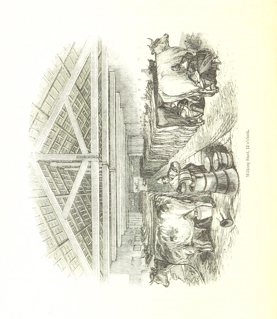 An illustration from Pictorial Half-hours, edited by C. K, 1850, leaf 588