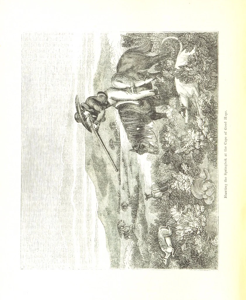 An illustration from Pictorial Half-hours, edited by C. K, 1850, leaf 624