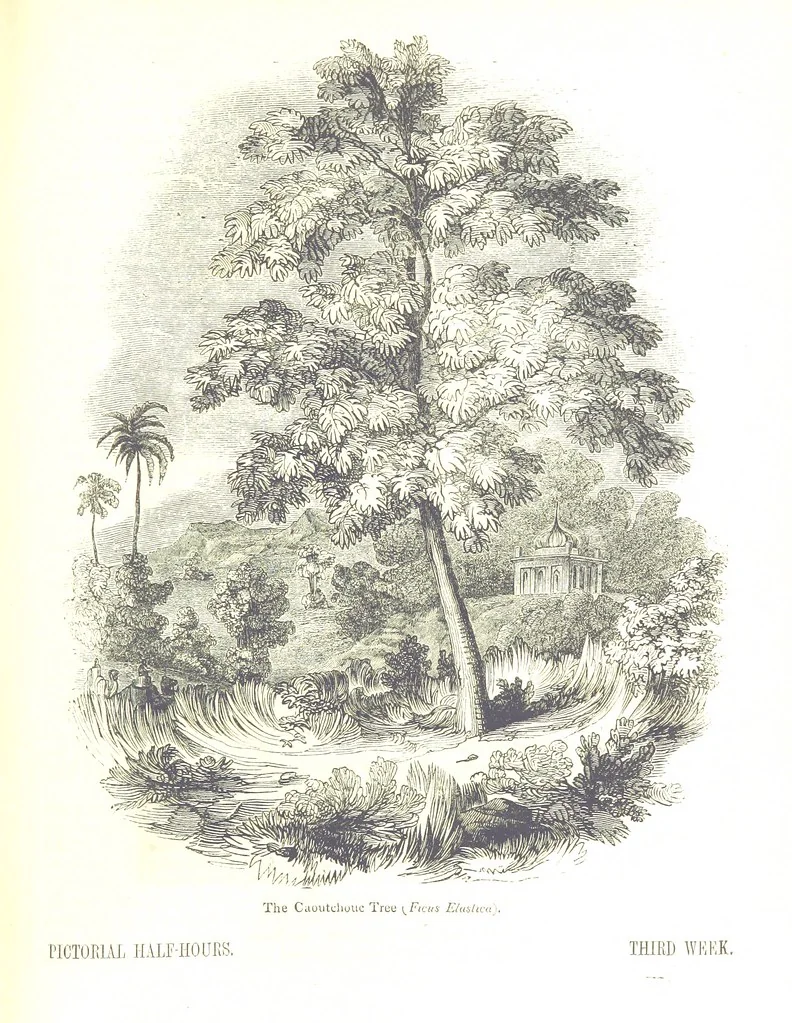 An illustration from Pictorial Half-hours, edited by C. K, 1850, leaf 63