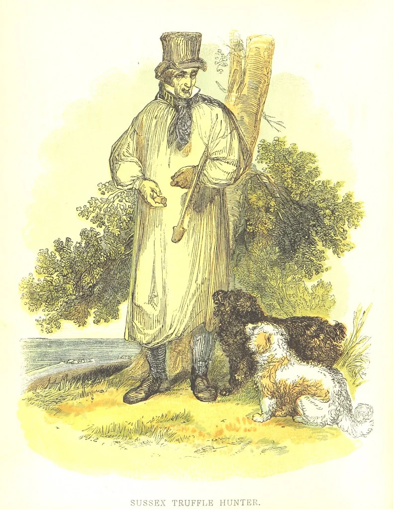 An illustration from Pictorial Half-hours, edited by C. K, 1850, leaf 10