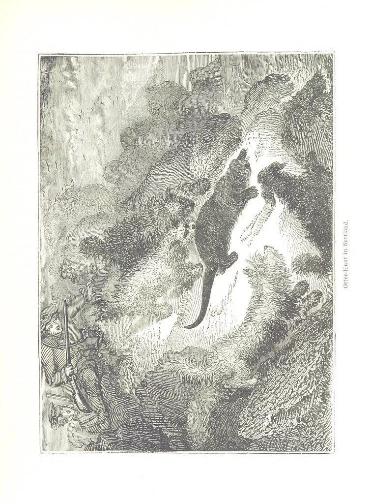 An illustration from Pictorial Half-hours, edited by C. K, 1850, leaf 195
