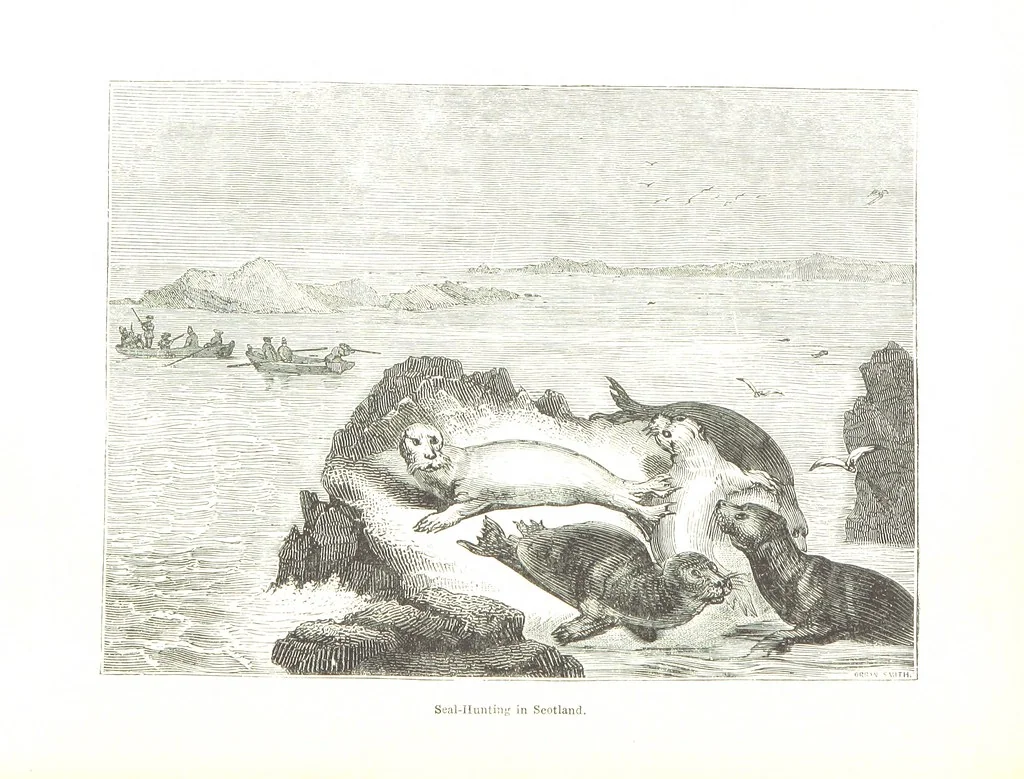 An illustration from Pictorial Half-hours, edited by C. K, 1850, leaf 218