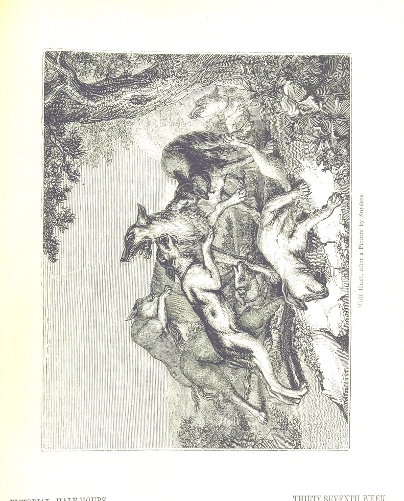 An illustration from Pictorial Half-hours, edited by C. K, 1850, leaf 255