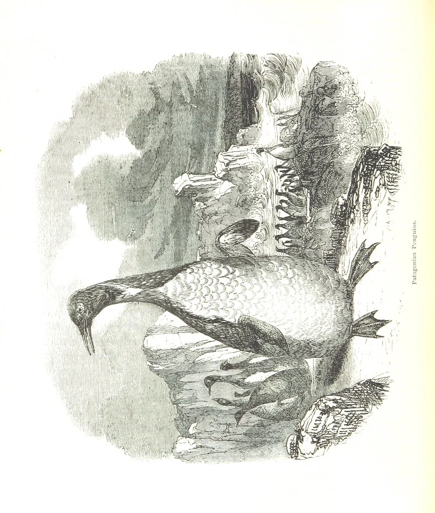 An illustration from Pictorial Half-hours, edited by C. K, 1850, leaf 274