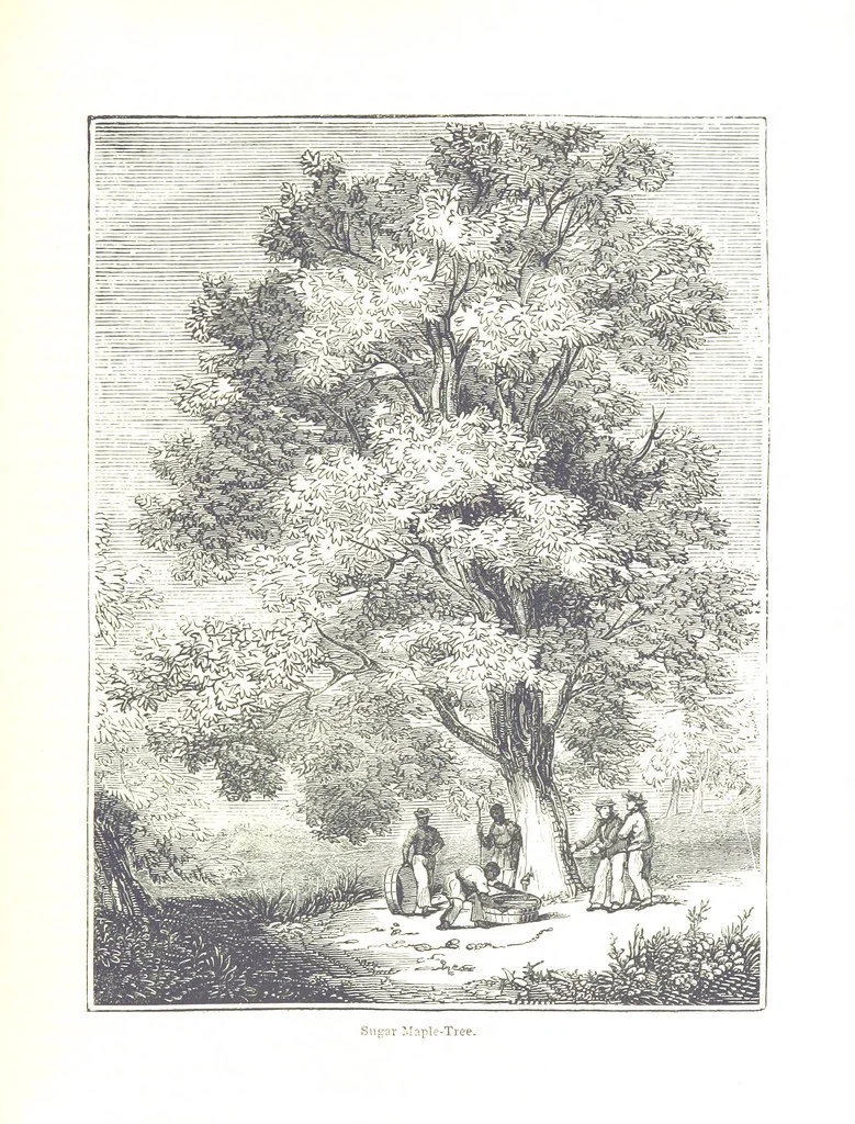 An illustration from Pictorial Half-hours, edited by C. K, 1850, leaf 283