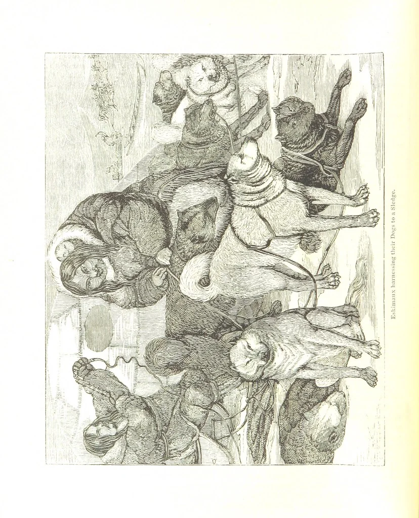 An illustration from Pictorial Half-hours, edited by C. K, 1850, leaf 34