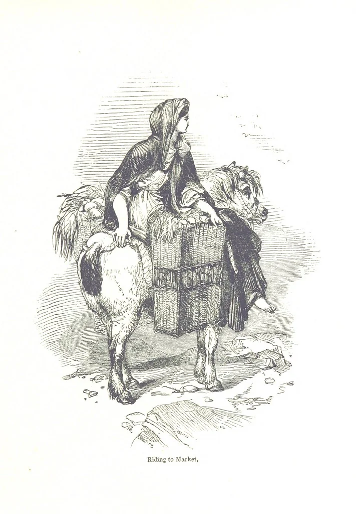 An illustration from Pictorial Half-hours, edited by C. K, 1850, leaf 387