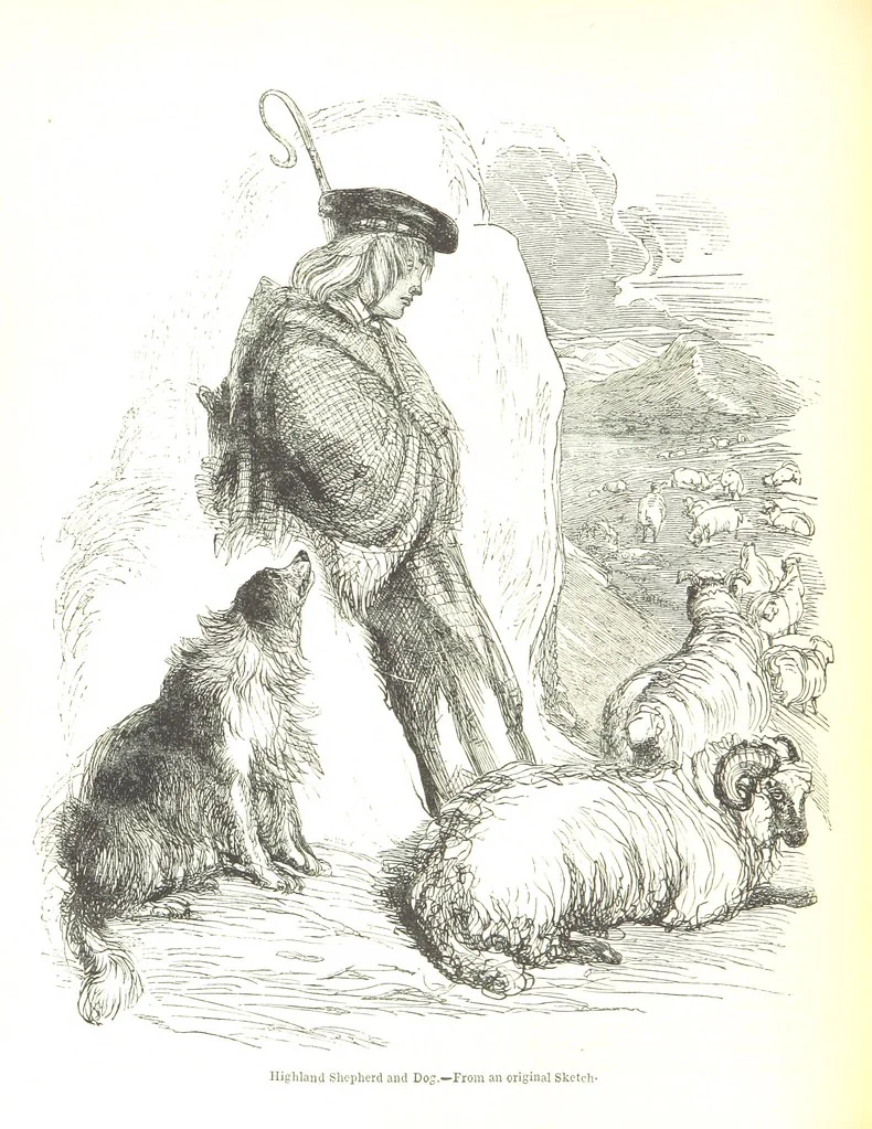 An illustration from Pictorial Half-hours, edited by C. K, 1850, leaf 470