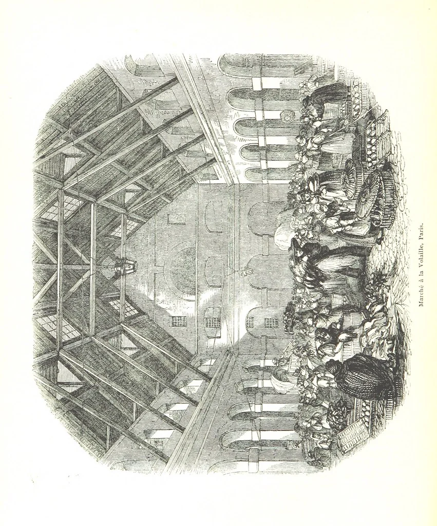 An illustration from Pictorial Half-hours, edited by C. K, 1850, leaf 578