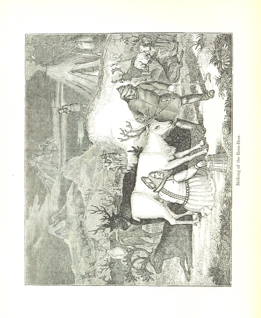 An illustration from Pictorial Half-hours, edited by C. K, 1850, leaf 634