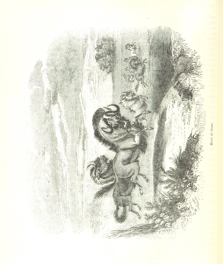 An illustration from Pictorial Half-hours, edited by C. K, 1850, leaf 78