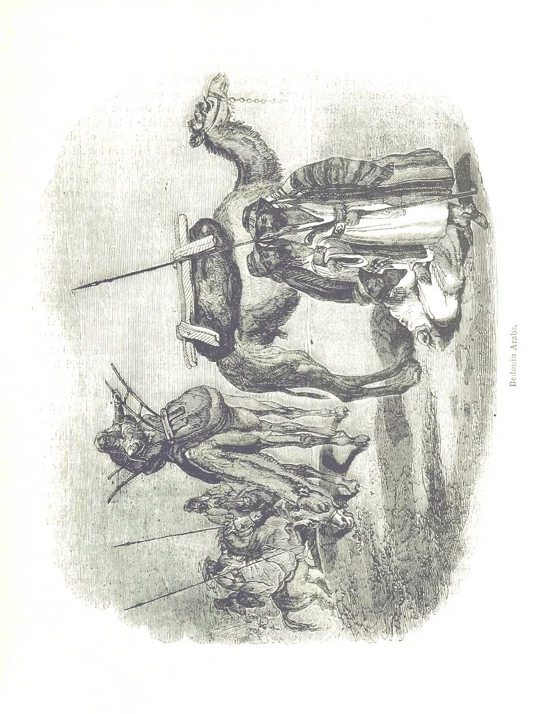 An illustration from Pictorial Half-hours, edited by C. K, 1850, leaf 95