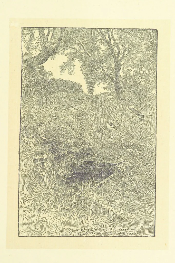An illustration from Through the Wordsworth Country. [Illustrations] by H. Goodwin [text by] W. K. L.P, 1887, leaf 297