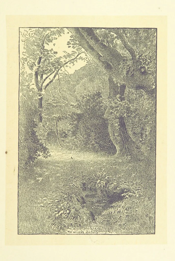An illustration from Through the Wordsworth Country. [Illustrations] by H. Goodwin [text by] W. K. L.P, 1887, leaf 301
