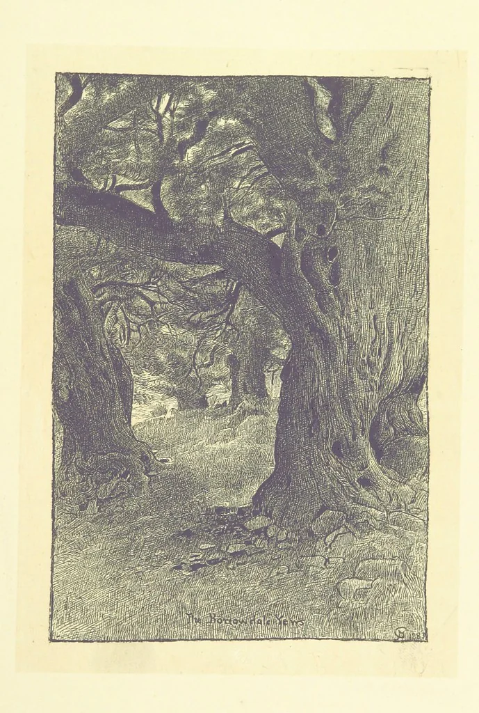 An illustration from Through the Wordsworth Country. [Illustrations] by H. Goodwin [text by] W. K. L.P, 1887, leaf 381