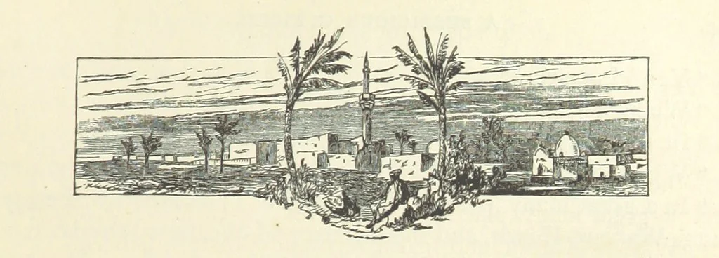 An illustration from Backsheesh! or, Life and Adventures in the Orient. With descriptive and humorous sketches. ... With ... illustrations, etc, 1875, leaf 107