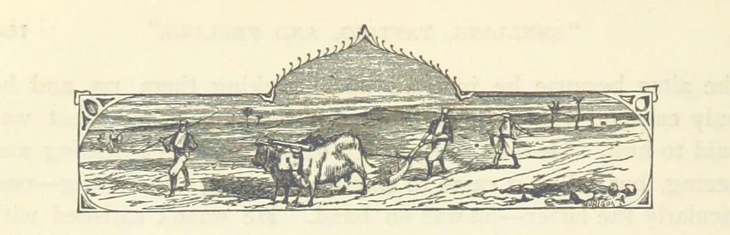 An illustration from Backsheesh! or, Life and Adventures in the Orient. With descriptive and humorous sketches. ... With ... illustrations, etc, 1875, leaf 124