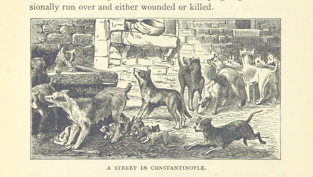 An illustration from Backsheesh! or, Life and Adventures in the Orient. With descriptive and humorous sketches. ... With ... illustrations, etc, 1875, leaf 138