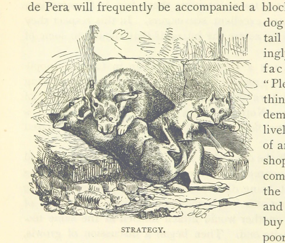 An illustration from Backsheesh! or, Life and Adventures in the Orient. With descriptive and humorous sketches. ... With ... illustrations, etc, 1875, leaf 140