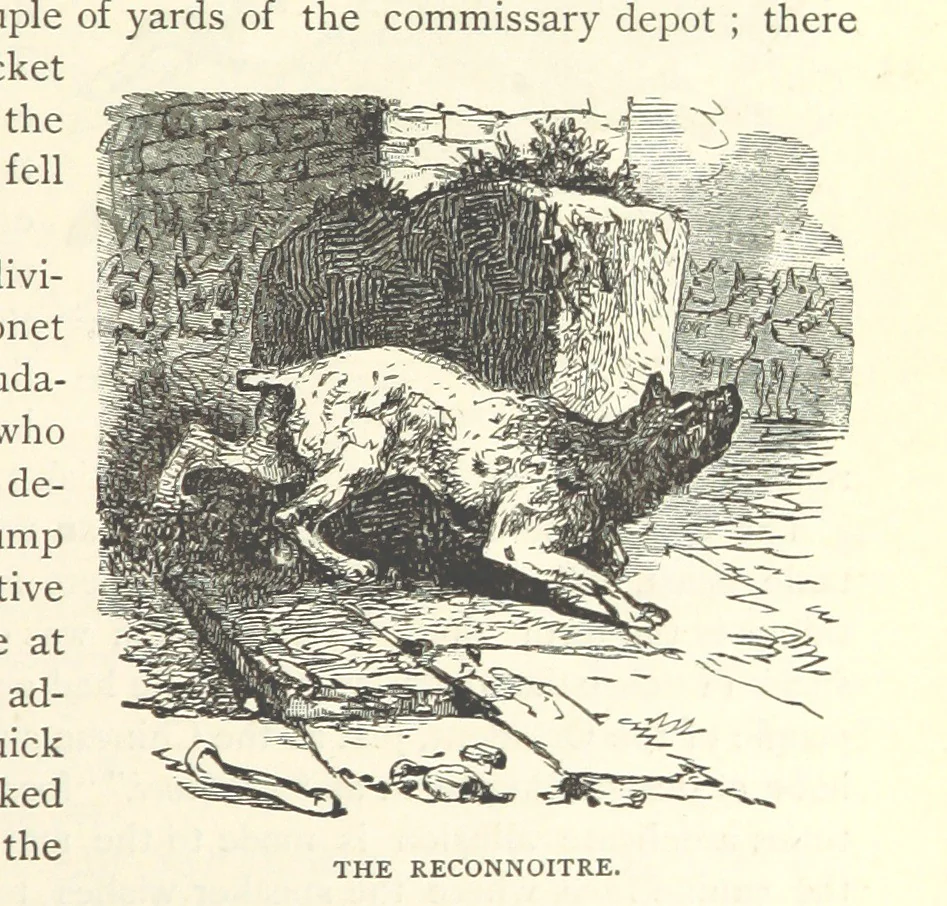 An illustration from Backsheesh! or, Life and Adventures in the Orient. With descriptive and humorous sketches. ... With ... illustrations, etc, 1875, leaf 143