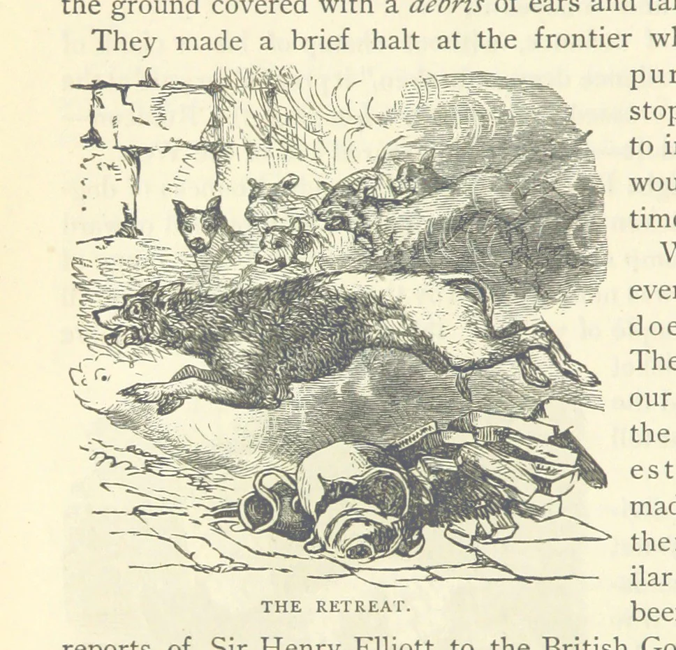 An illustration from Backsheesh! or, Life and Adventures in the Orient. With descriptive and humorous sketches. ... With ... illustrations, etc, 1875, leaf 144