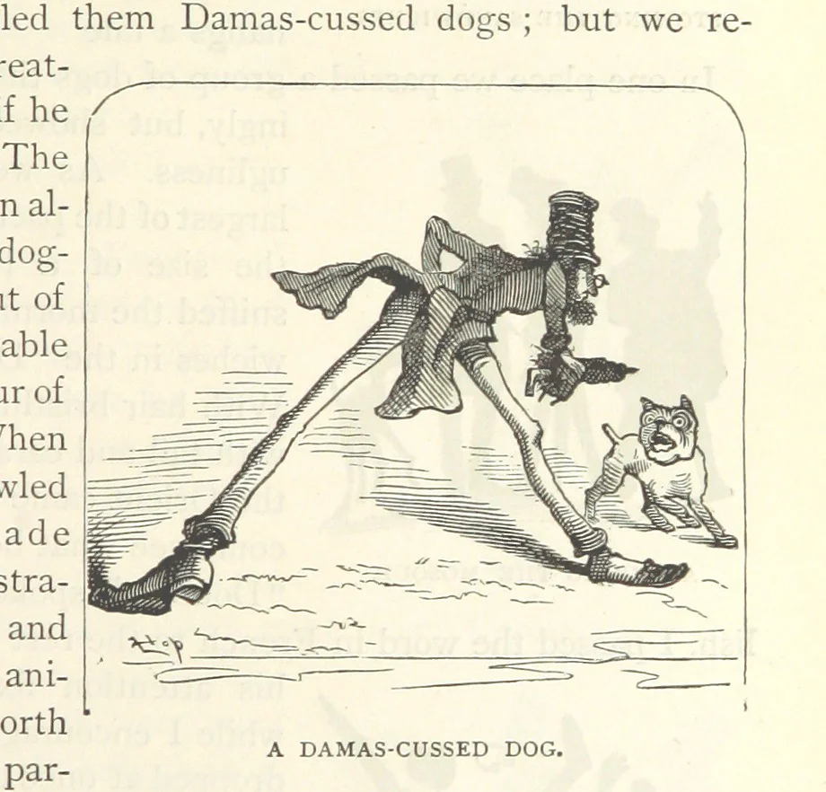 An illustration from Backsheesh! or, Life and Adventures in the Orient. With descriptive and humorous sketches. ... With ... illustrations, etc, 1875, leaf 145