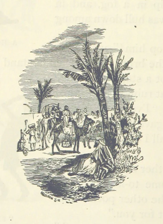 An illustration from Backsheesh! or, Life and Adventures in the Orient. With descriptive and humorous sketches. ... With ... illustrations, etc, 1875, leaf 148