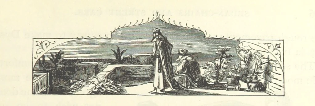 An illustration from Backsheesh! or, Life and Adventures in the Orient. With descriptive and humorous sketches. ... With ... illustrations, etc, 1875, leaf 149