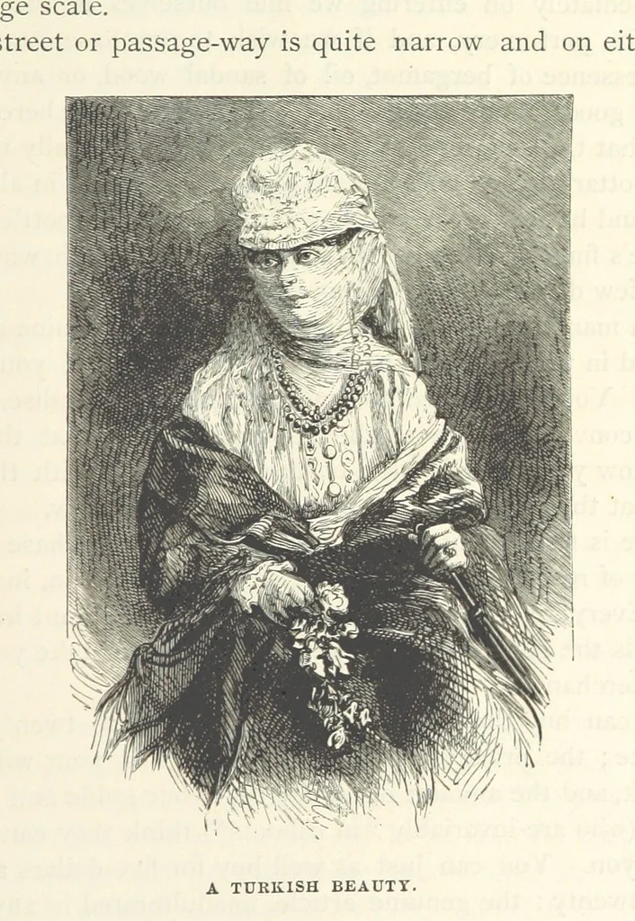 An illustration from Backsheesh! or, Life and Adventures in the Orient. With descriptive and humorous sketches. ... With ... illustrations, etc, 1875, leaf 151