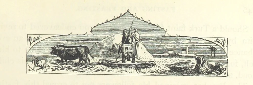 An illustration from Backsheesh! or, Life and Adventures in the Orient. With descriptive and humorous sketches. ... With ... illustrations, etc, 1875, leaf 159